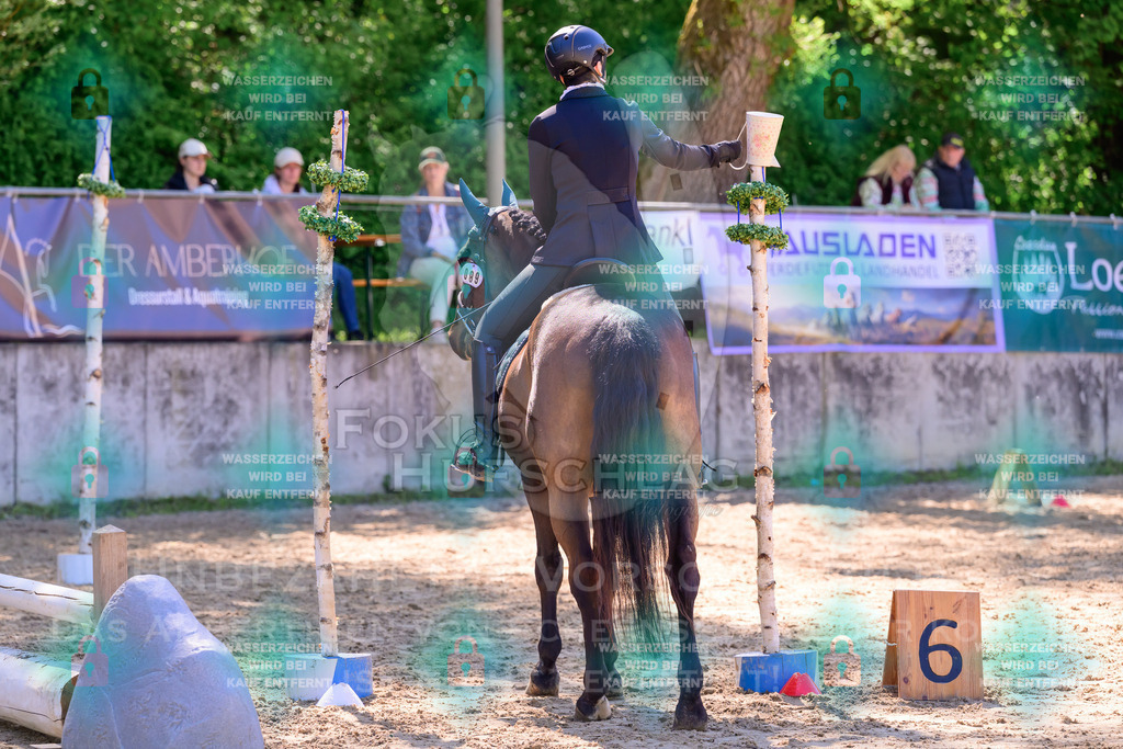 02052026-Giesenbach-01-Stiltrail-0075 | Fokus Hufschlag Fotografie - Realisiert mit Pictrs.com