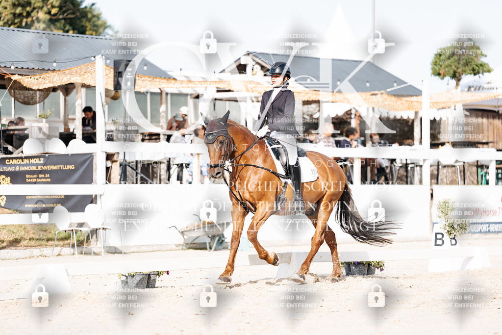CK905186 | Turnierfotografie Pferdefotografie Trier Rheinland-Pfalz Pferdesport Reitsport Tierfotografie Sportfotografie Pferdevideo Pferdevideografie Equestrianvideography equestrianphotography  - Realisiert mit Pictrs.com