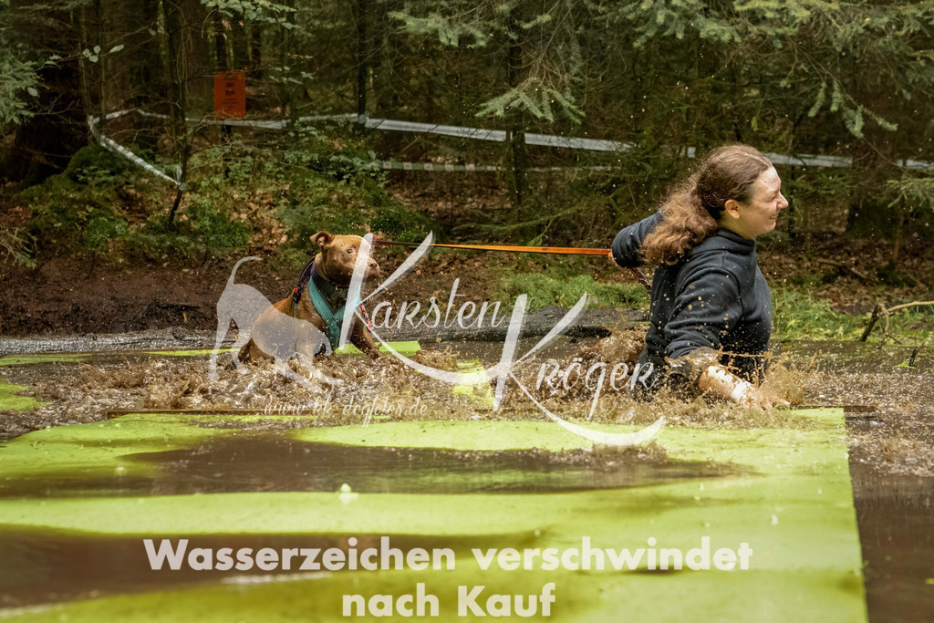 1220_ZZ93991-Bearbeitet | kk-dogfotos