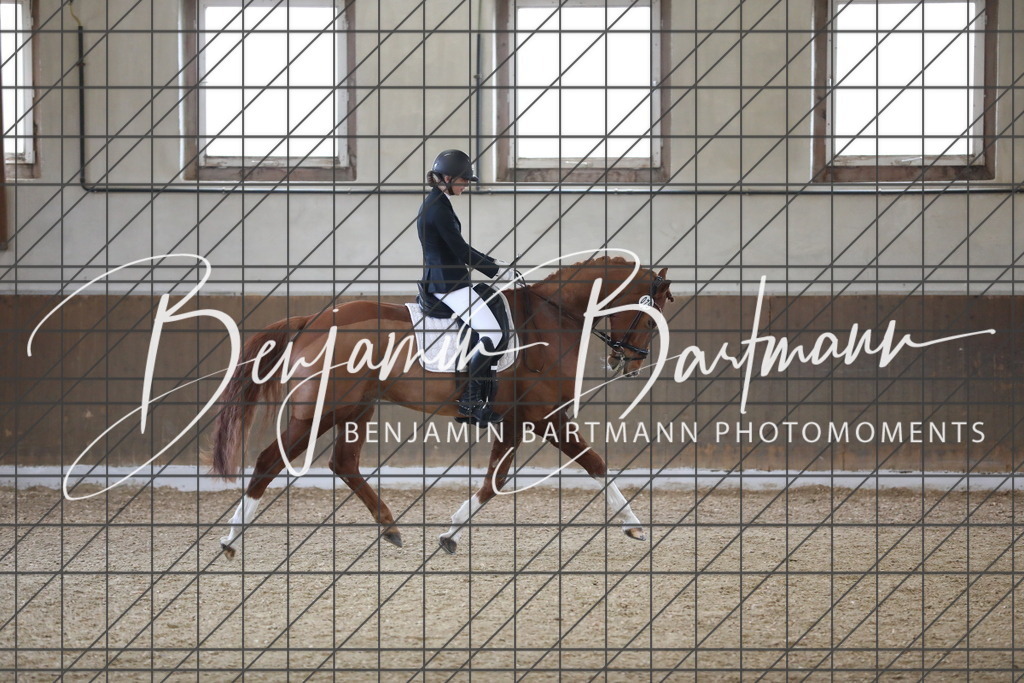 AZ2A0041 | Benjamin Bartmann Photomoments