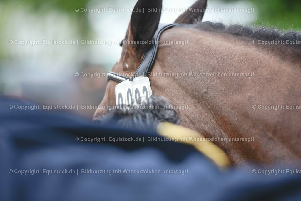 20230514_Impressionen_0178 | equistock