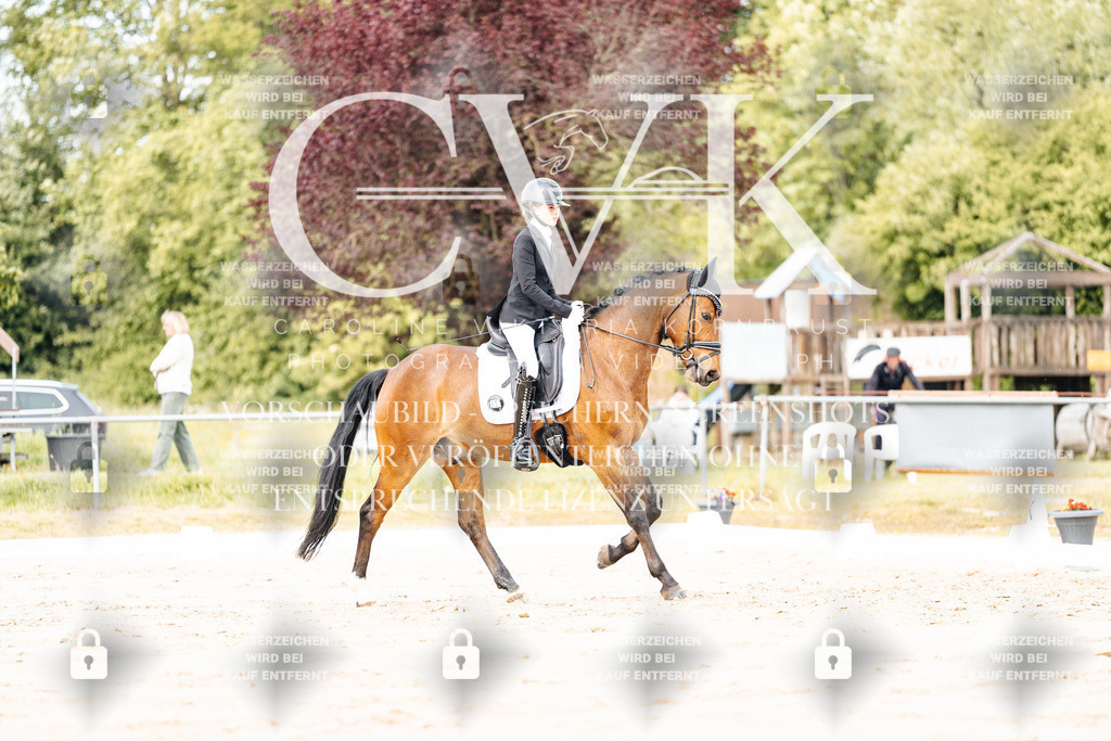 CK900889 | Turnierfotografie Pferdefotografie Trier Rheinland-Pfalz Pferdesport Reitsport Tierfotografie Sportfotografie Pferdevideo Pferdevideografie Equestrianvideography equestrianphotography  - Realisiert mit Pictrs.com