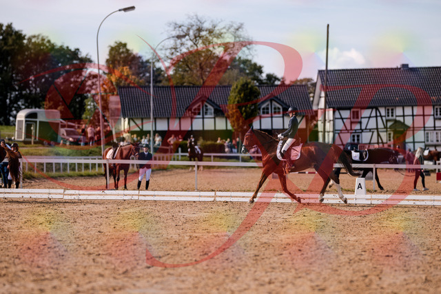 2026_10_03_Siefer-Hof_133119_Z81_84750616 | Professionelle Reitsport-, Turnier- und Eventfotografie von Robert Broda. Galerien mit ausgewählten und bearbeiteten Bildern direkt online ansehen und bestellen.