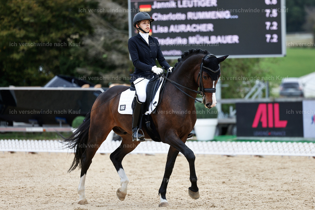 3-224-Dressur M_-StoibPH-2516 | working equitationturnier fotograf videograf stoibphotography marixx film working equitation deutschland reitsport turnierfotografie eventfotografie equestrian events