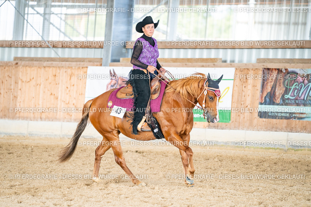 DSC09105 | Pferdegrafie