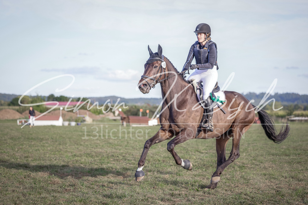 20250906-_3LI8238 | Tierfotografie Pferde, Hunde, Katzen, Haustiere.
Turnierfotografie Reitturniere, Reiten, Springreiten, Dressur in Hanau, dem Main-Kinzig-Kreis und dem Rhein-Main- Gebiet um Frankfurt