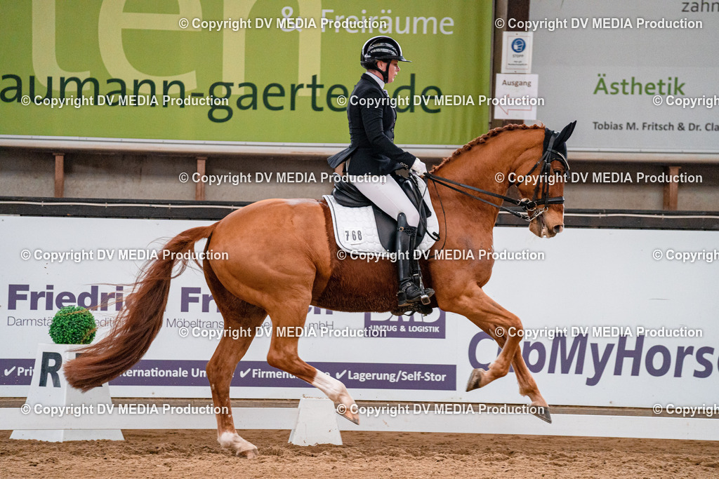 Kranichstein Tag 1-312 | dv-media-shop - Realisiert mit Pictrs.com