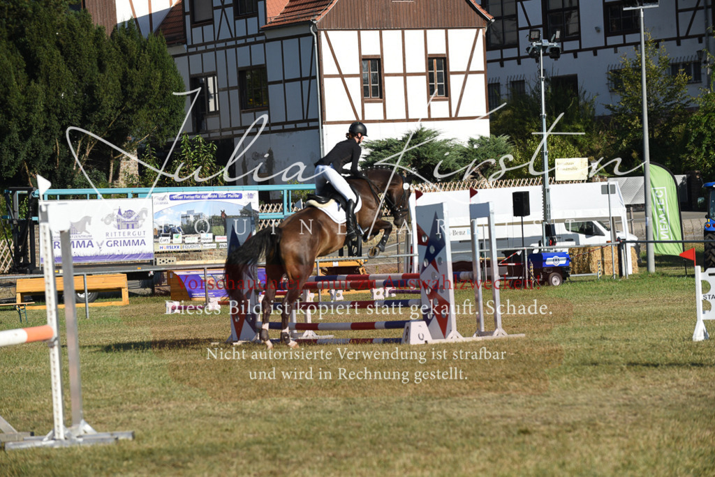 DSC_5145 | Pferde- und Turnierfotografie in Westsachsen. Pferdeportraits, Auftragszeichnungen und intuitive Kunst.