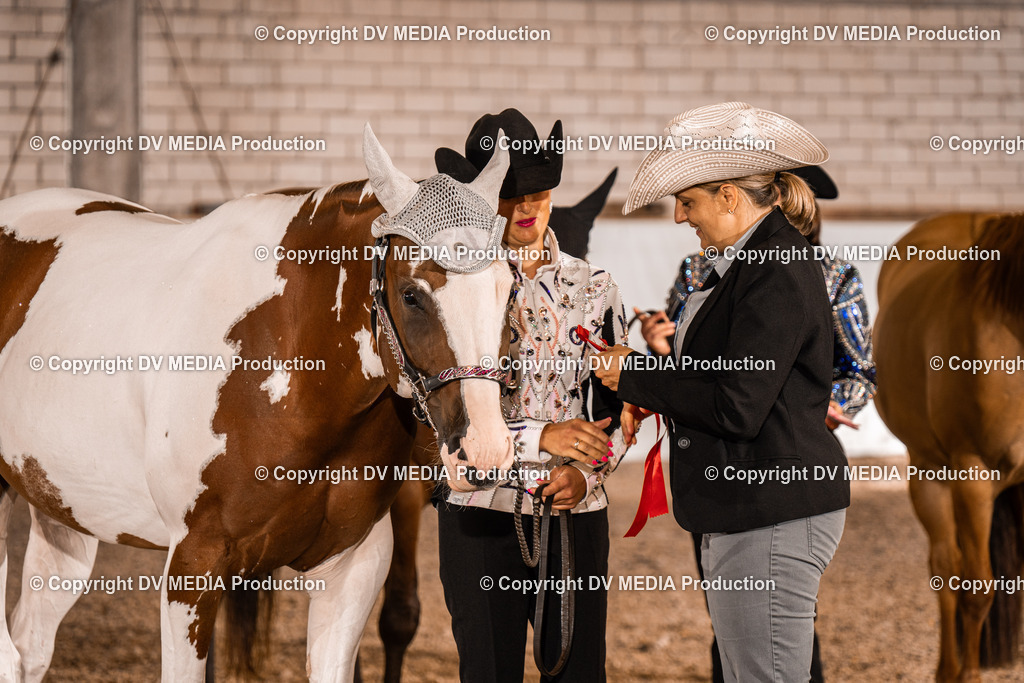 ZH100071 | dv-media-shop - Realisiert mit Pictrs.com