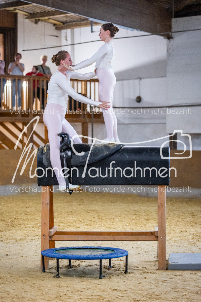 Holzpferd-115 | MomenTaufnahmen Pferdesportfotos