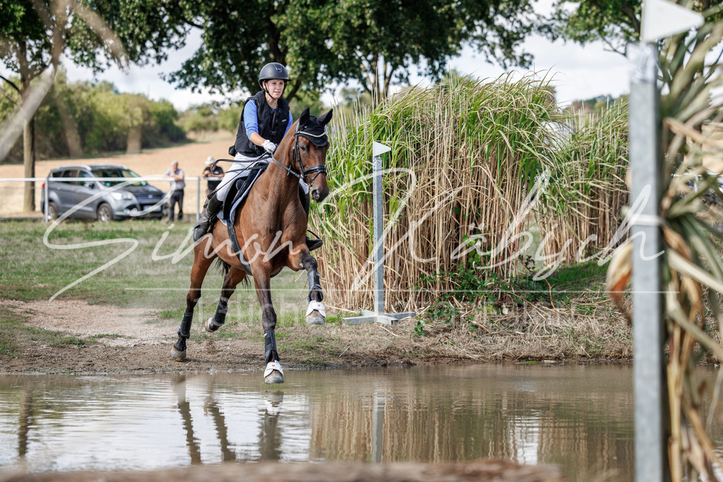 20260905-_3LI9626 | Tierfotografie Pferde, Hunde, Katzen, Haustiere.
Turnierfotografie Reitturniere, Reiten, Springreiten, Dressur in Hanau, dem Main-Kinzig-Kreis und dem Rhein-Main- Gebiet um Frankfurt