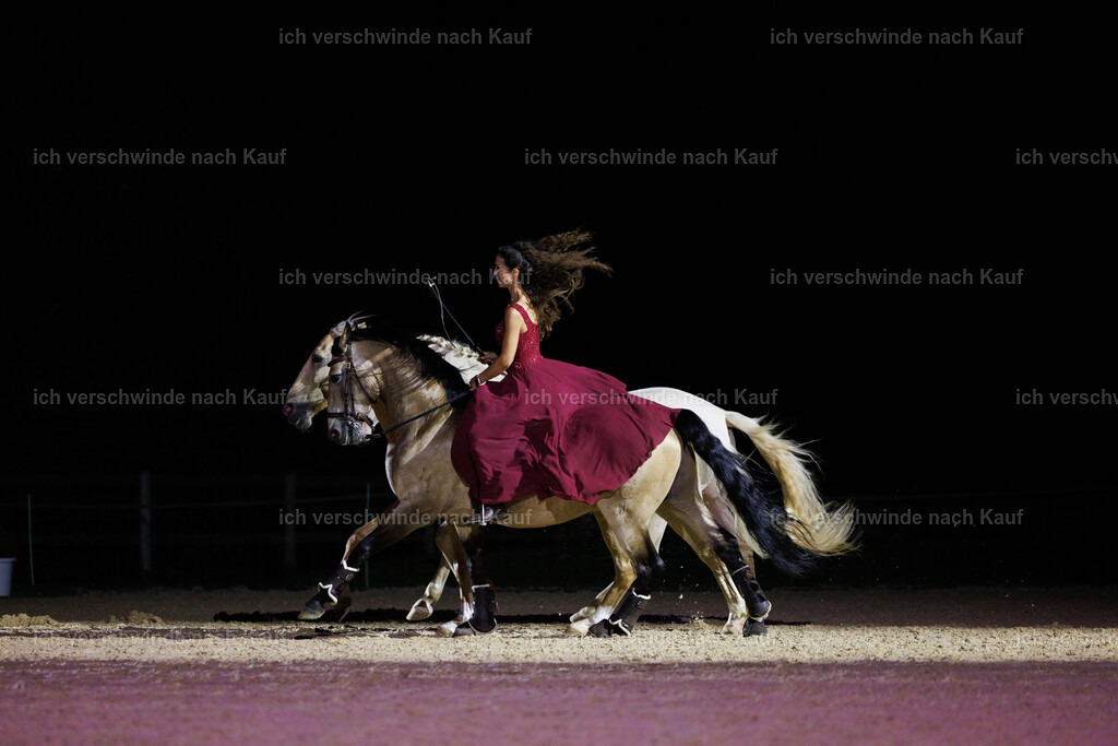Gala-103 | working equitationturnier fotograf videograf stoibphotography marixx film working equitation deutschland reitsport turnierfotografie eventfotografie equestrian events
