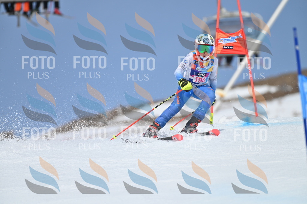 BGV_0936 | holidayphoto