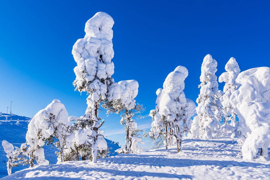 Landschaft mit Schnee im Winter in Ruka, Finnland | Landschaft mit Schnee im Winter in Ruka, Finnland.