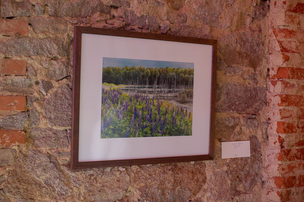 Green Art Talent | Künstlerwettbewerb Green Art Talent im Forte Belvedere Leisnig zum Festival Hallo Leisnig 2022. - Realisiert mit Pictrs.com