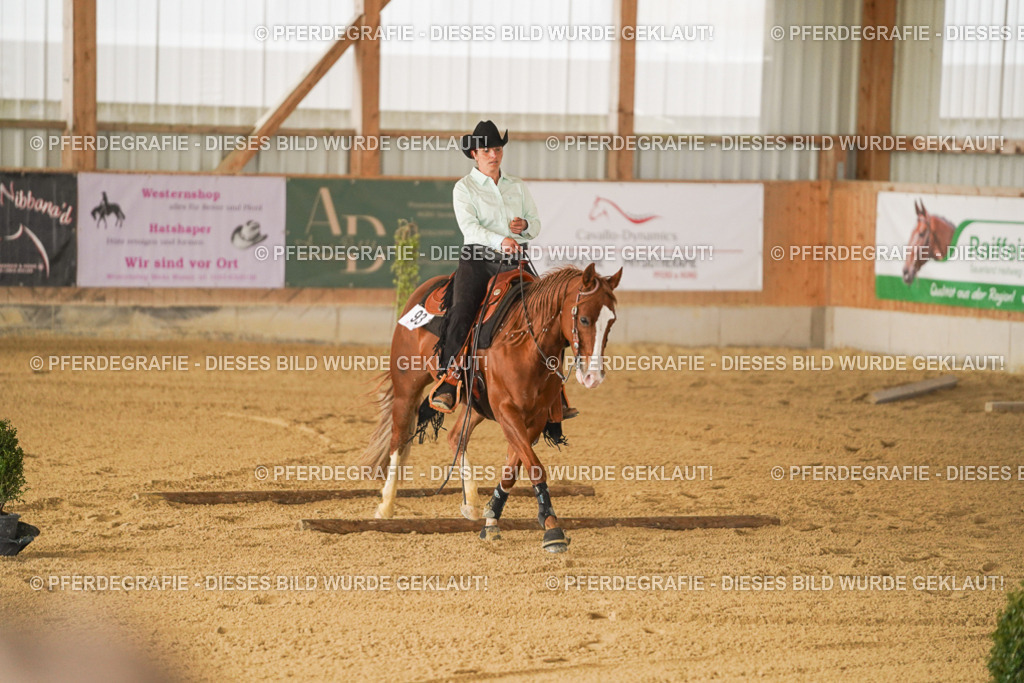 DSC03394 | Pferdegrafie