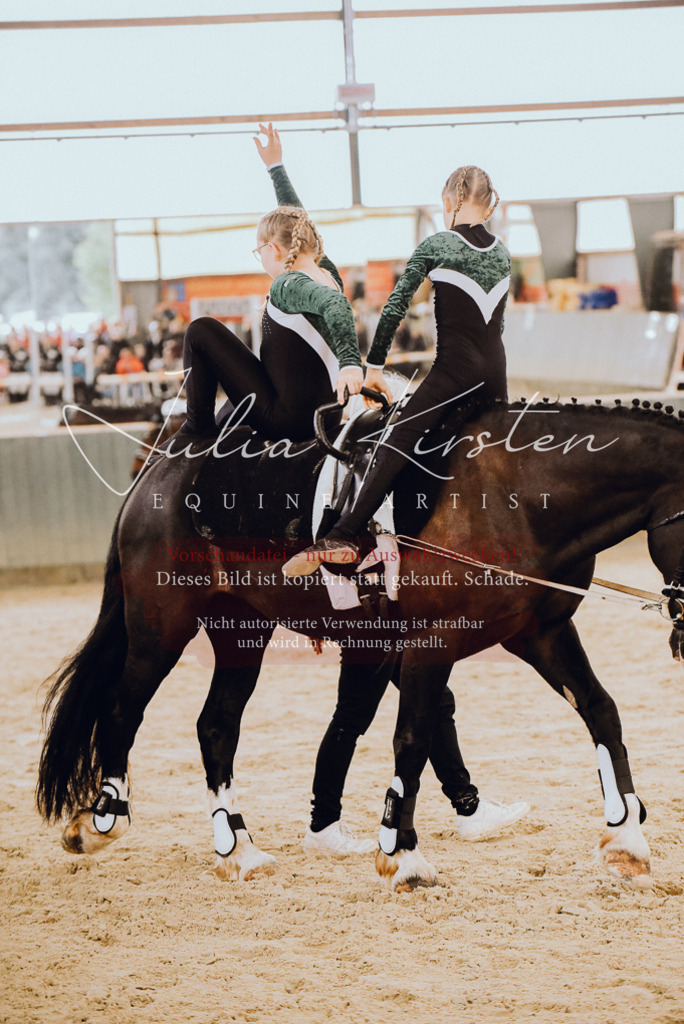 DSC_6871 | Pferde- und Turnierfotografie in Westsachsen. Pferdeportraits, Auftragszeichnungen und intuitive Kunst.