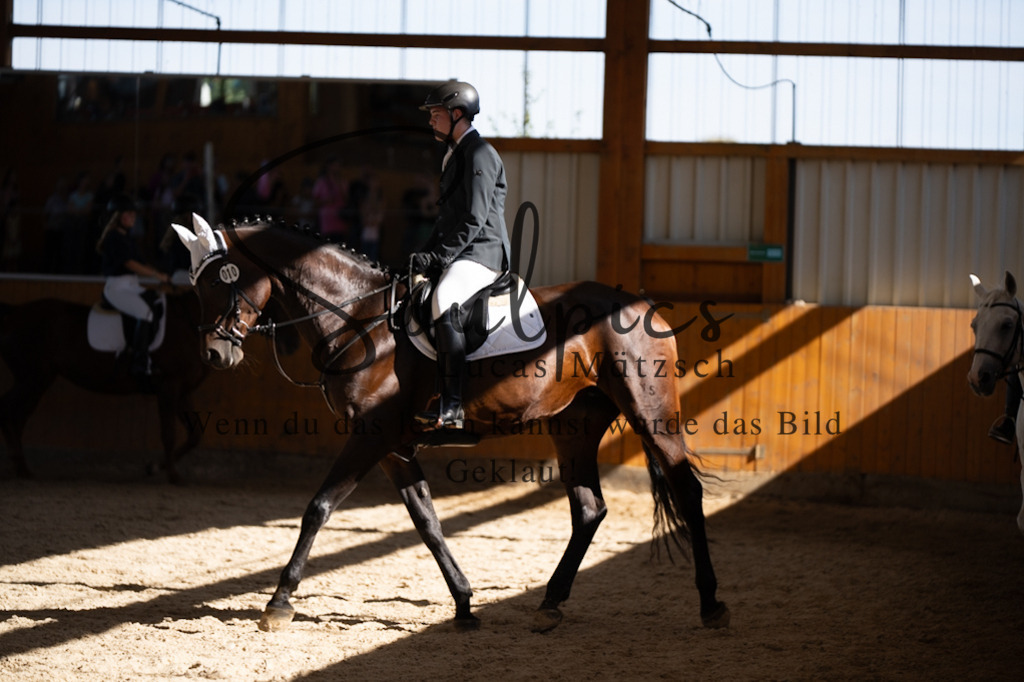 A7V02167 | Turnier/Reitfotograf