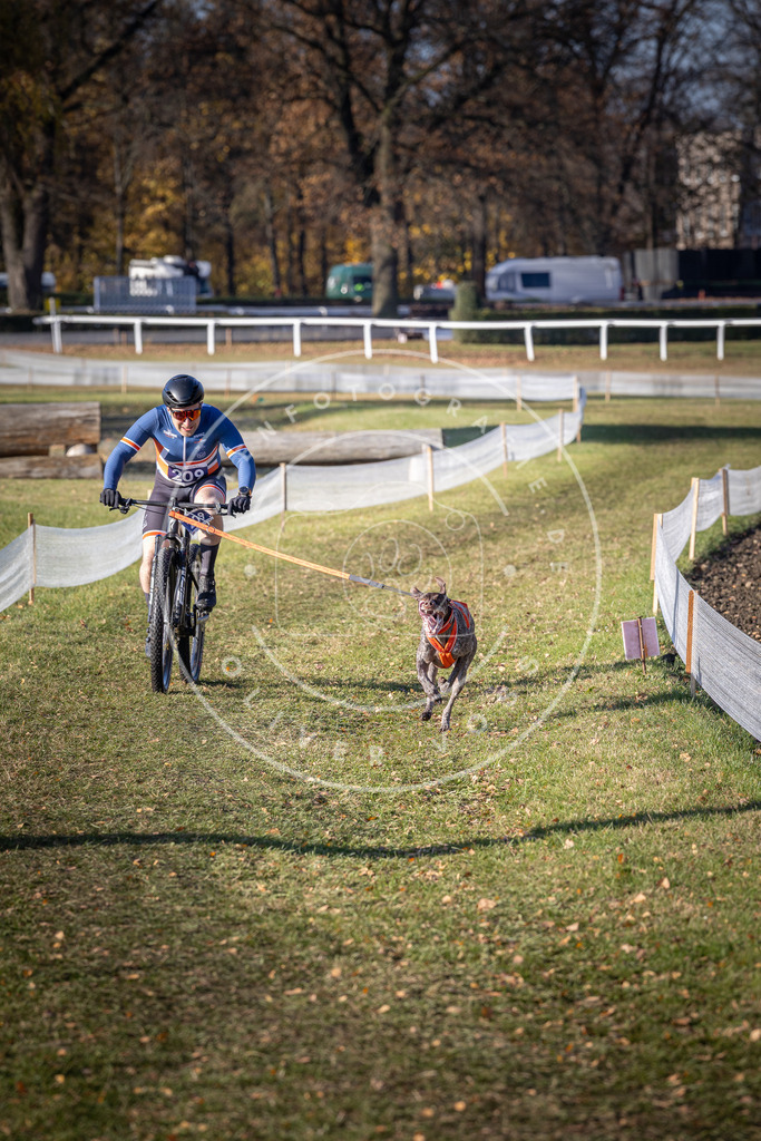 CaniXpix_DV3A3025 | Hundefotografie, Tierfotograf, Pfotenfotografie, Fotoshooting Hund, Hunde Portrait, Hundesport, Hundeportraits, Heideshooting, Hunde, Sportfotograf, Hundefotograf, Turnierhundsport, THS,  - Realisiert mit Pictrs.com