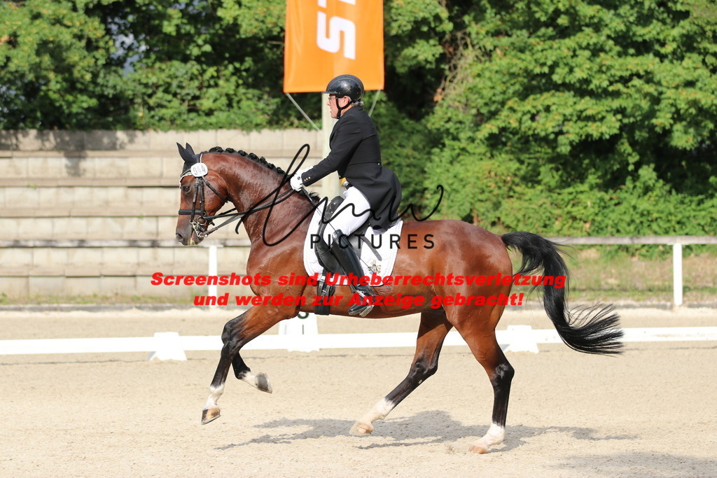 IMG_6260 | lmwpictures - Realisiert mit Pictrs.com