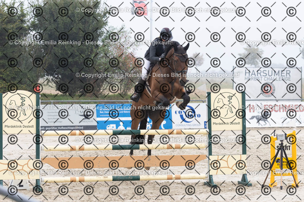 CL5A4746 | Emilia Reinking Fotografie - Realisiert mit Pictrs.com