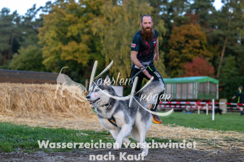 0841_ZZ91201 | kk-dogfotos