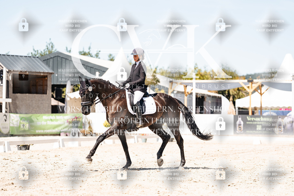 CK900131 | Turnierfotografie Pferdefotografie Trier Rheinland-Pfalz Pferdesport Reitsport Tierfotografie Sportfotografie Pferdevideo Pferdevideografie Equestrianvideography equestrianphotography  - Realisiert mit Pictrs.com