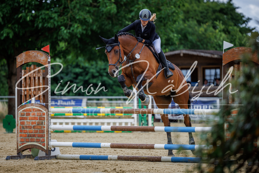 20260705-_3LI5237 | Tierfotografie Pferde, Hunde, Katzen, Haustiere.
Turnierfotografie Reitturniere, Reiten, Springreiten, Dressur in Hanau, dem Main-Kinzig-Kreis und dem Rhein-Main- Gebiet um Frankfurt