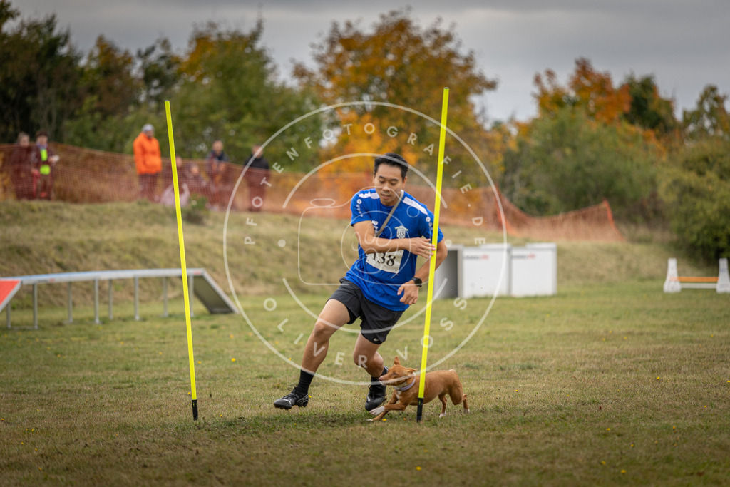 Pfotenfotografie_DV3A8211 | Hundefotografie, Tierfotograf, Pfotenfotografie, Fotoshooting Hund, Hunde Portrait, Hundesport, Hundeportraits, Heideshooting, Hunde, Sportfotograf, Hundefotograf, Turnierhundsport, THS,  - Realisiert mit Pictrs.com