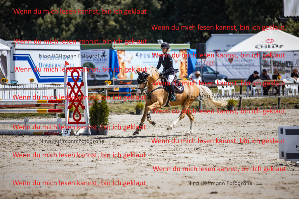 BK1A5184 | Turnierbilder Turnierfotos Nina Hüffmann Turnierfotografie Pferdefotografie Tierzeichnung Haustierzeichnung Pferdezeichnung Hundezeichnung Videograf  - Realisiert mit Pictrs.com