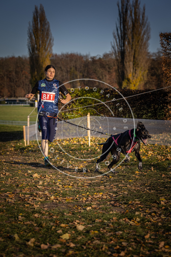 CaniXpix_DV3A3064 | Hundefotografie, Tierfotograf, Pfotenfotografie, Fotoshooting Hund, Hunde Portrait, Hundesport, Hundeportraits, Heideshooting, Hunde, Sportfotograf, Hundefotograf, Turnierhundsport, THS,  - Realisiert mit Pictrs.com