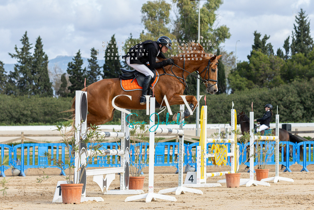 IMG_2128 | s-jay-photography - Realisiert mit Pictrs.com