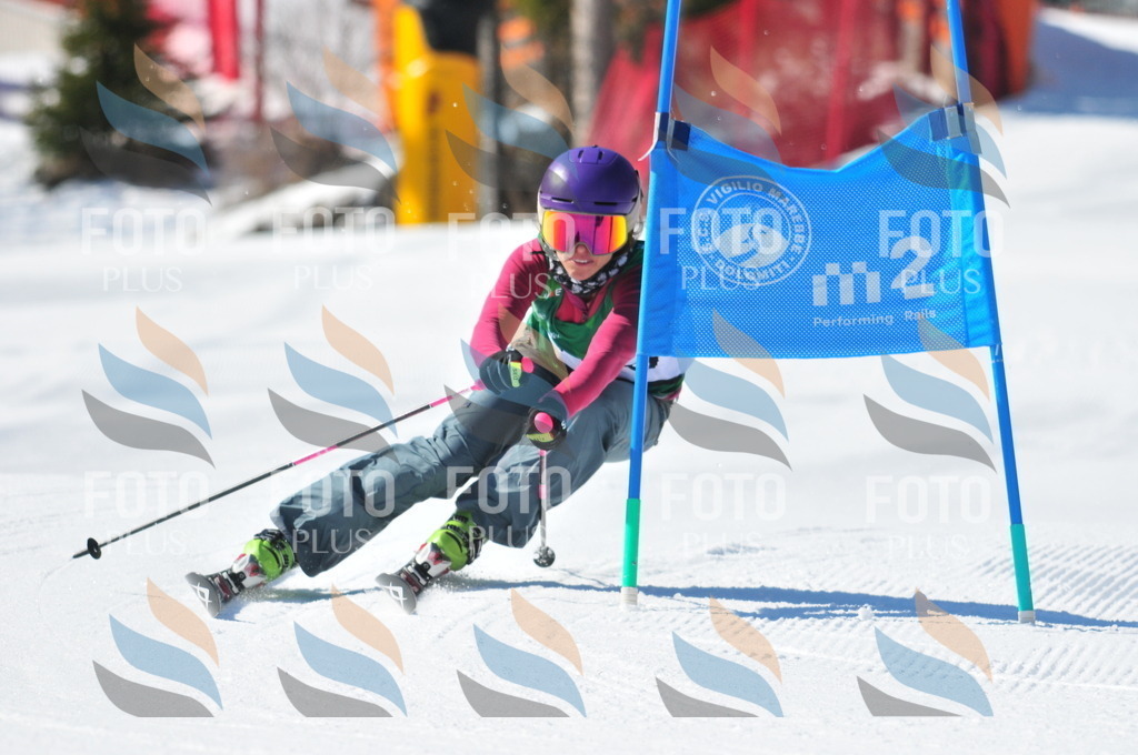 C4122 | holidayphoto