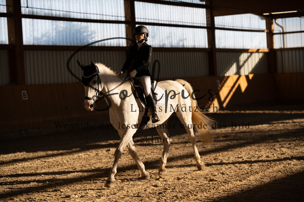 A7V01650 | Turnier/Reitfotograf