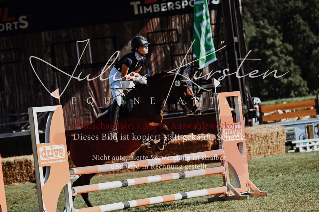 DSC_6962 | Pferde- und Turnierfotografie in Westsachsen. Pferdeportraits, Auftragszeichnungen und intuitive Kunst.