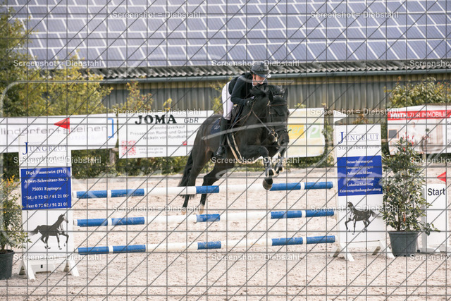 _W6A1699 | ronjaprokoschfotografie - Realisiert mit Pictrs.com