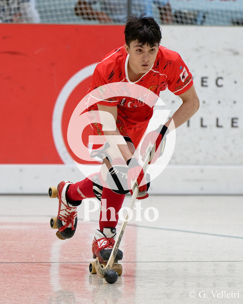 DSC_6695 | Velletri Photo