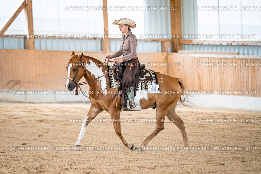 DSC09056 | Pferdegrafie