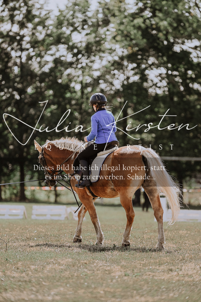 DSC_7515 | Pferde- und Turnierfotografie in Westsachsen. Pferdeportraits, Auftragszeichnungen und intuitive Kunst.