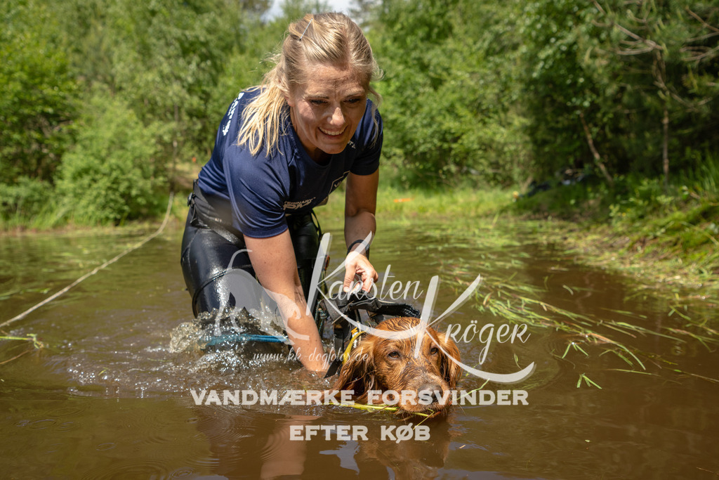 1237DKK993201 | kk-dogfotos