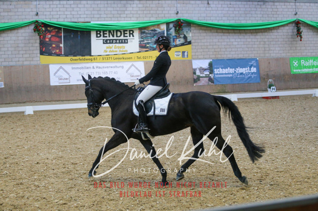 IMG_2918 | Turnierfotos kaufen im Webshop von Daniel Kuhl Photography – entdecke professionelle Reitsportfotos aus Turnieren & Events. Hochwertige Turnierbilder online bestellen & sichern. Jetzt Fotos von Reitsportturnieren kaufen!