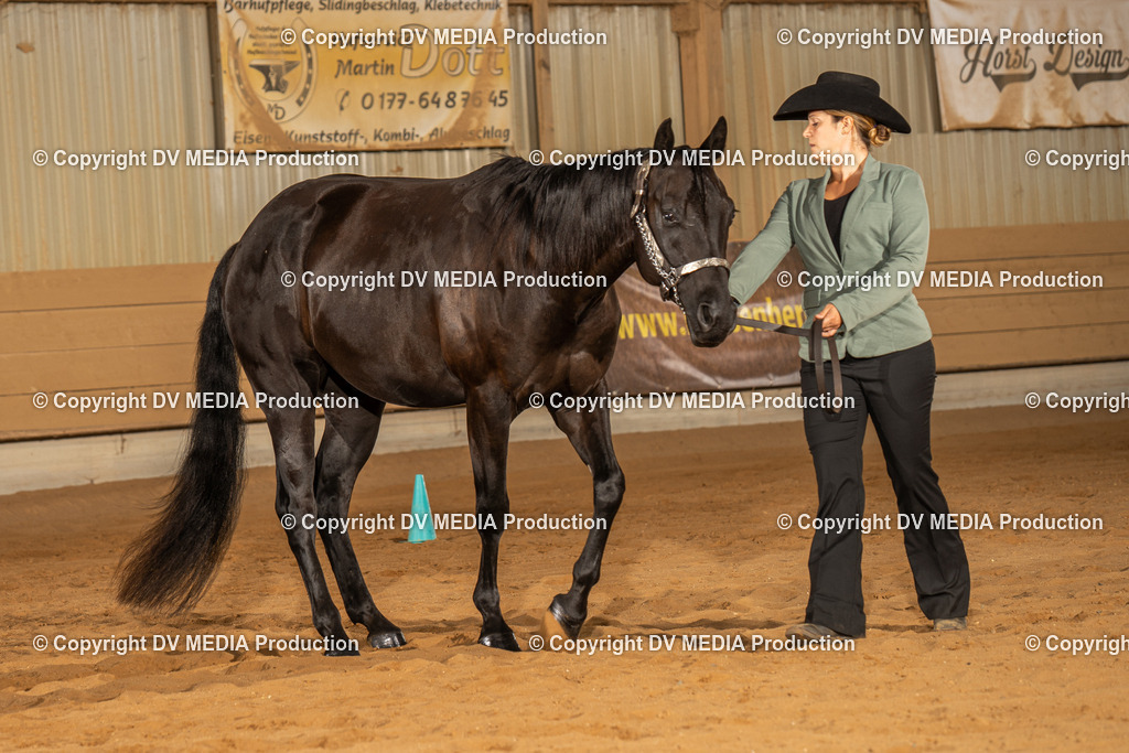 NID02460 | dv-media-shop - Realisiert mit Pictrs.com