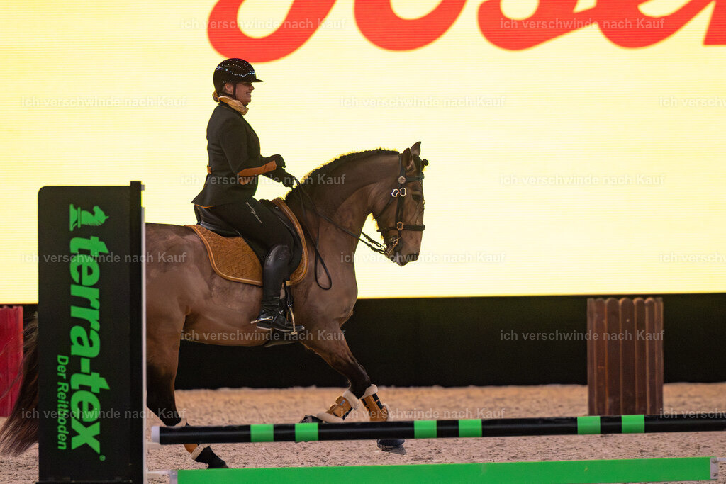 JoseraCup-48 | working equitationturnier fotograf videograf stoibphotography marixx film working equitation deutschland reitsport turnierfotografie eventfotografie equestrian events