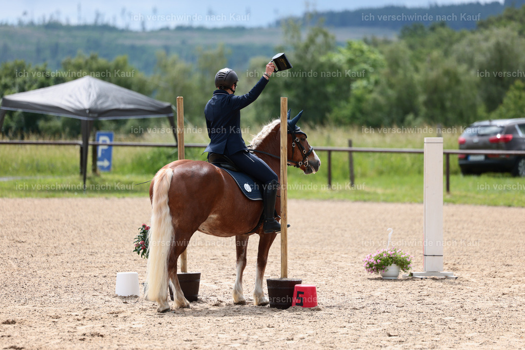 KlasseE_Stoibphotography_CAM22074.JPG | working equitationturnier fotograf videograf stoibphotography marixx film working equitation deutschland reitsport turnierfotografie eventfotografie equestrian events