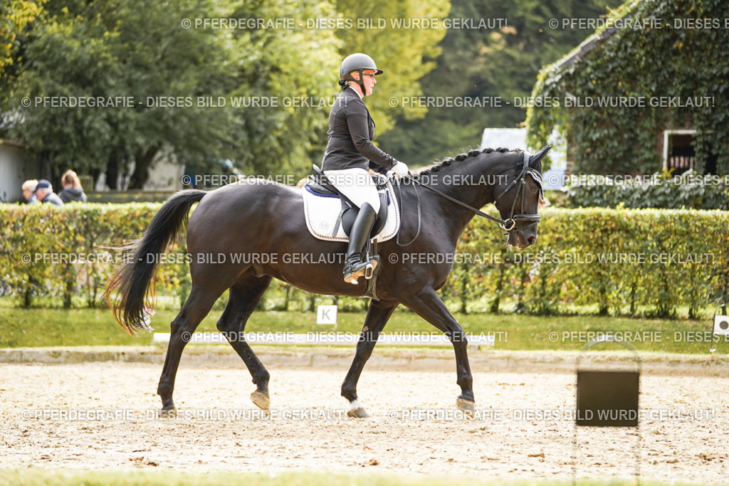 DSC01263 | Pferdegrafie