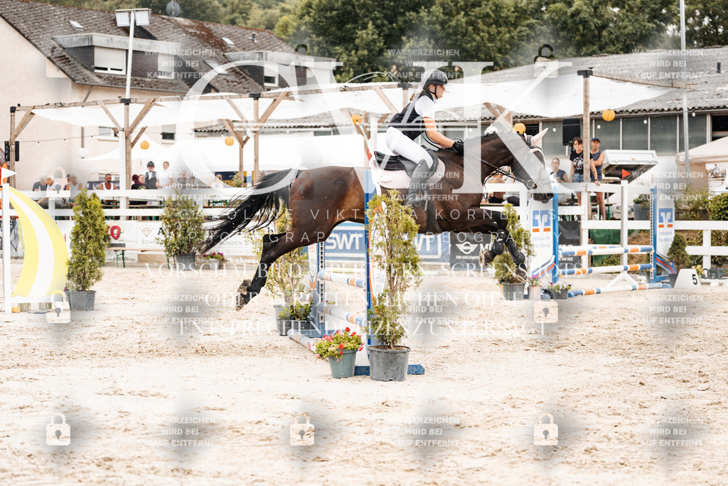 CK908592 | Turnierfotografie Pferdefotografie Trier Rheinland-Pfalz Pferdesport Reitsport Tierfotografie Sportfotografie Pferdevideo Pferdevideografie Equestrianvideography equestrianphotography  - Realisiert mit Pictrs.com