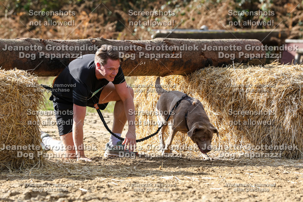 Dog Paparazzi - Strongdog 10-25-5715 | Dog Paparazzi Jeanette Grottendiek Fotografie & Videografie - Realisiert mit Pictrs.com