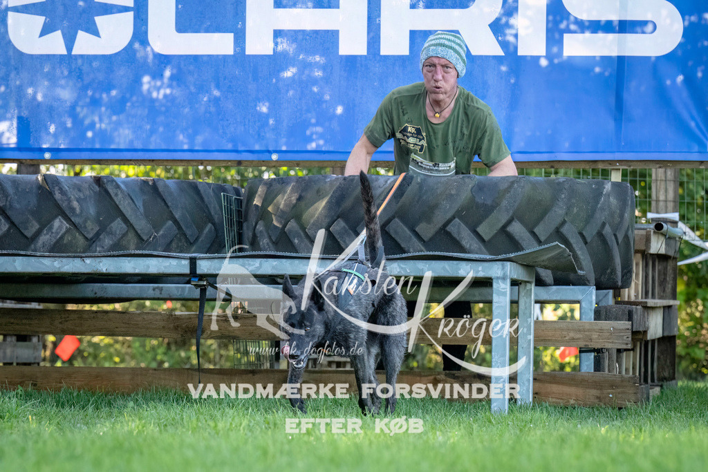 1032--2 | kk-dogfotos