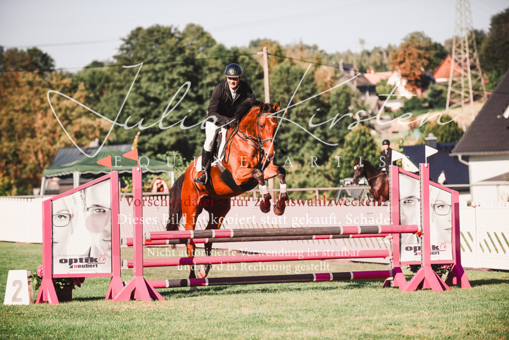 DSC_2173 | Pferde- und Turnierfotografie in Westsachsen. Pferdeportraits, Auftragszeichnungen und intuitive Kunst.