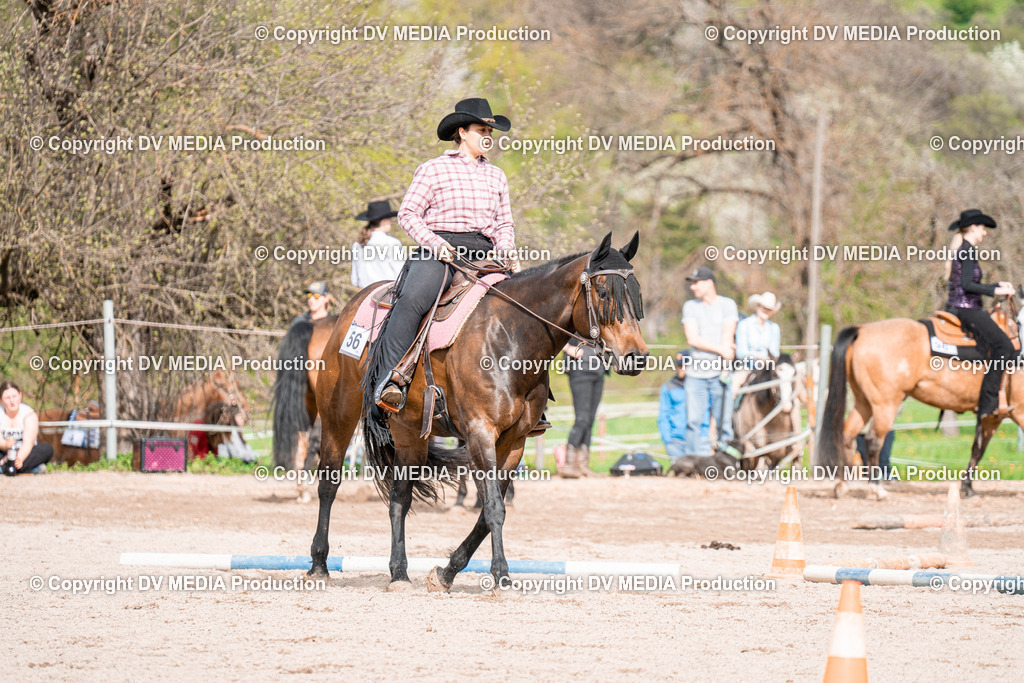 BAL02681 | dv-media-shop - Realisiert mit Pictrs.com